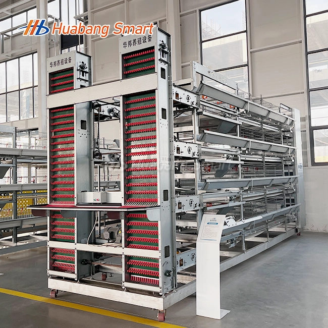 H Type Layer Chicken Cage